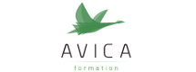 Avica Formation
