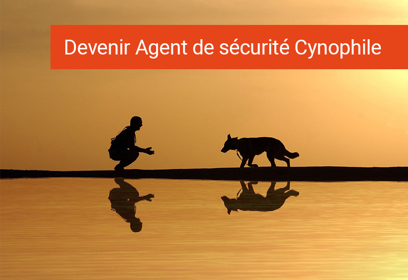 Agent de sécurité Cynophile